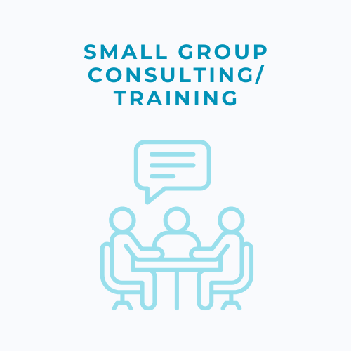 Small Group Consulting/Training