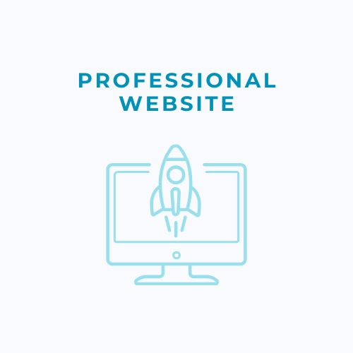 Professional Website