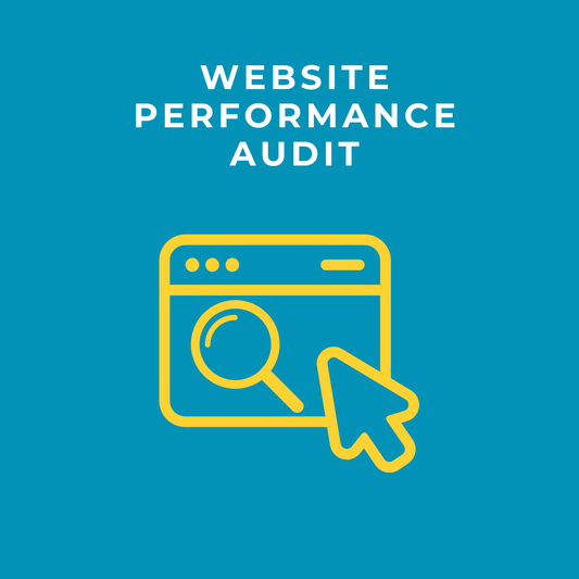 Website Performance Audit